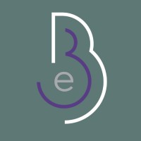 Big3 Evolution (Pty) Ltd Logo