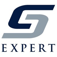 Expert Systems Limited Logo