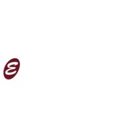 Excel IT Services Logo