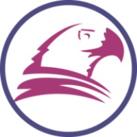 Naif Falcon Logo