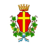 Comune di Messina Logo