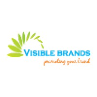 Visible Brands Limited Logo