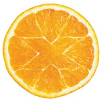 Vitamin X. The multi for marketers. Logo