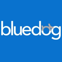 Bluedog - digital agency Logo