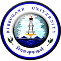 Dibrugarh University Institute of Engineering and Technology Logo