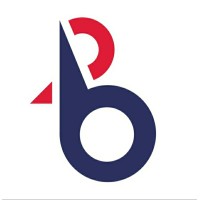 B2B Consultants Logo