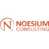 Noesium Consulting Inc. Logo