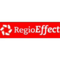 RegioEffect Logo