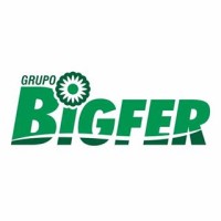 Grupo Bigfer Logo