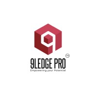 9LedgePro - Microsoft Partner Network Logo