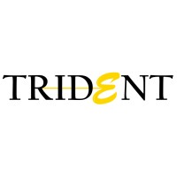 Trident Conglomerate - Accounting & Tax, Company Formations, DIFC-ADGM-Banking Compliance, AML-CDD Logo