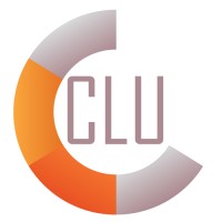 CLU srl Logo