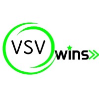 VSV WINS, INC Logo