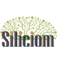 Siliciom Technologies Pvt Ltd Logo