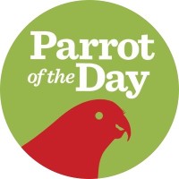 Parrot Of The Day Logo