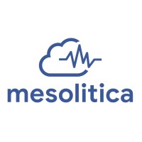 Mesolitica Logo
