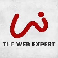 The Web Expert Logo