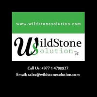 WildStone Solution Logo
