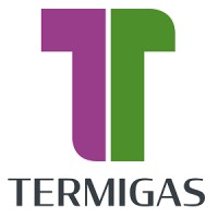 Termigas S.p.A. Logo