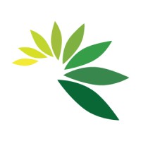 Cassava Bags Australia Logo