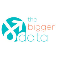 The Bigger Data Logo