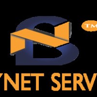 BLAYNET SERVICES Logo
