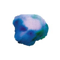 Sea Salt Autumn Leaves & Water Colour AG Logo