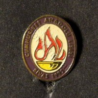 Cumhuriyet Anadolu Lisesi Logo