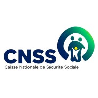 CNSS RDC Logo