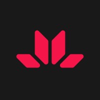 Venture League Logo