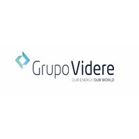 GRUPO VIDERE Logo