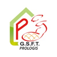 GSFT Logo