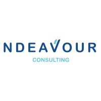 nDeavour Consulting Logo