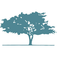 Credit Solutions 850 Logo