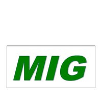 Masters Investment Group, LLC Logo