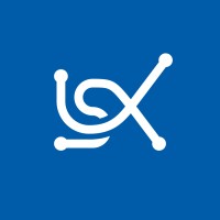 LSX Consulting Logo