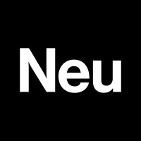 Neumeister Strategic Design Logo