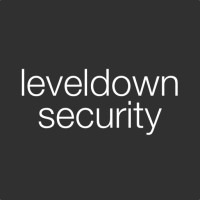 leveldown security Logo