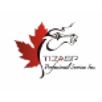 Tizasp Professional Services Logo