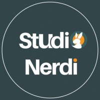 Studio Nerdi Logo