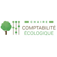 Ecological Accounting Chair Logo