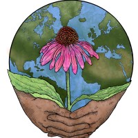 Sustainable Herbs Program Logo