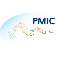Patrick Morelli Ingénieur Conseil Logo