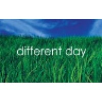 Different Day Limited Logo