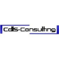 CDLS-Consulting Logo