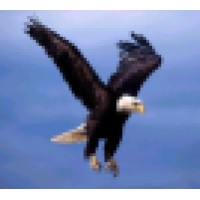 TNTax Business Services, Inc. Logo