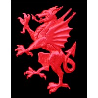 Llewellyn (Safety Advisors) Europe Ltd Logo