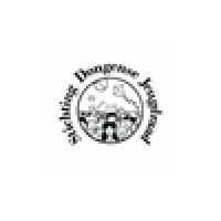 Stichting Dongense Jeugdraad Logo