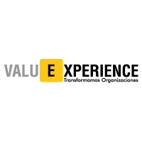 Valuexperience Logo