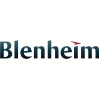 Blenheim Underwriting Limited Logo